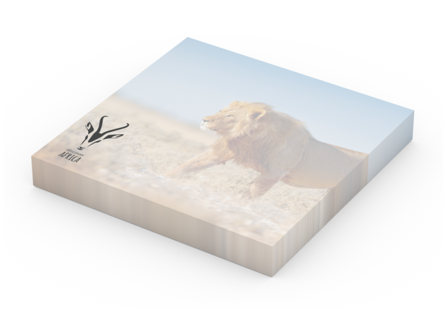 Basic 72 x 72 Bestseller, 100 Blatt