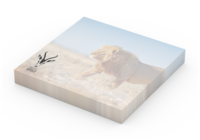 Basic 72 x 72 Bestseller, 100 Blatt