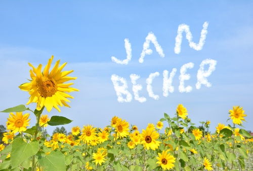 1017_378m_sonnenblumenfeld.jpg
