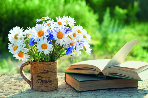 1023_372m_flowercup.jpg